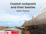 Coastal rockpools and their beetles