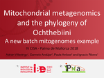 Mitochondrial metagenomics and the phylogeny of Ochthebiini: A new batch mitogenomes example