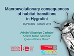 Macroevolutionary consequences of habitat transitions in aquatic Coleoptera