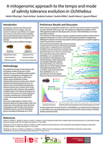 Ochthebiini: a mitogenome approach to tempo and mode of salinity tolerance evolution