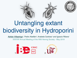 Untangling extant biodiversity in Hydroporini