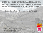 Efectos ecológicos de la sequía sobre la comunidad de macroinvertebrados bentónicos en ecosistemas lacustres. Caso de estudio: Lago de La Baña