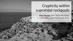 Crypticity within supratidal rockpools