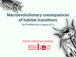 Macroevolution and habitat transitions